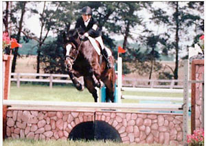 Horse Jumping