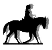 rider logo