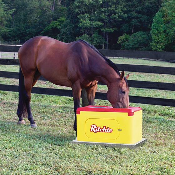 Ritchie Automatic Horse Waterers for Fresh Water for Life