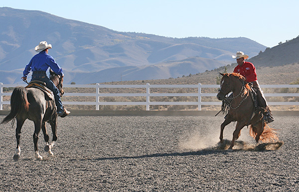 intimidated horse training