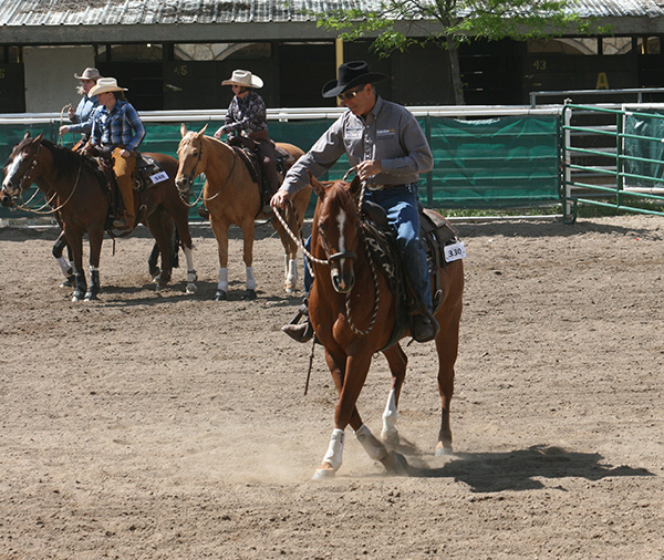 I'm pushing my horse's shoulders around to the right to correct a dropped left shoulder 