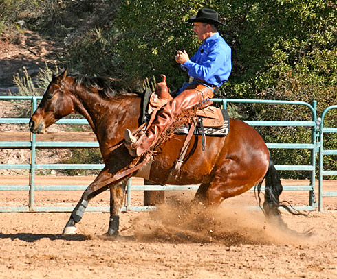 When I shift my weight and 'quit riding' my horse stops