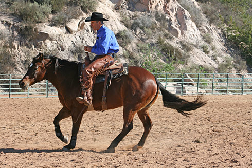 Rwbridlesssover