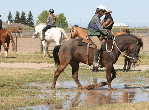 A clinician can support you as you overcome challenges, such as this water obstacle.