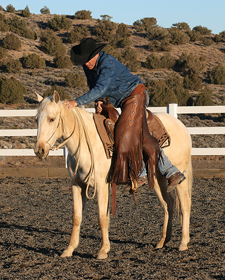 Have I done all that I can do to prepare myself and this colt for our first ride?