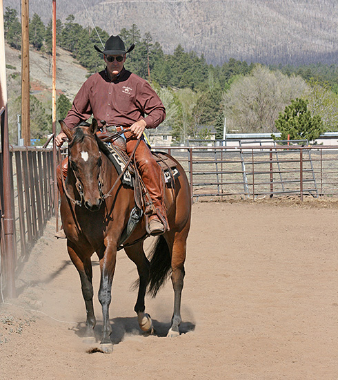 Haunches-In with front feet tracking on rail and hind feet offset to the inside.