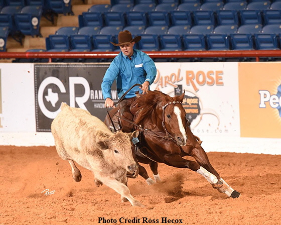 Photo Credit Ross Hecox