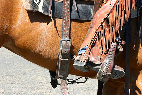 Spur placement for moving your horses' hip..