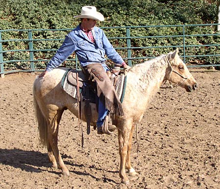Colt Starting Part 3 by Richard Winters Horsemanship