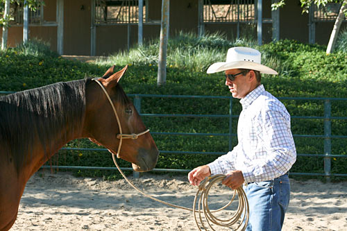 True Horsemanship is a Life Long Journey by Richard Winters