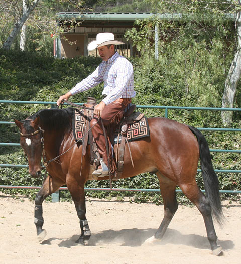 Correct; With more rein between my hands I am able to direct each rein independently