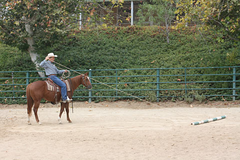  I am pulling the pole to myself - allowing my colt to observe its movement.
