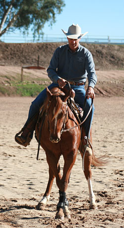 Side-Pass to the Right: Side-passing to the right while keeping his head, neck, and shoulders straight.