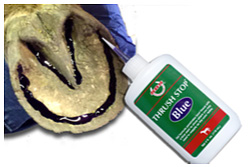 Thrush Stop Gel Hoof Thrush Stop
