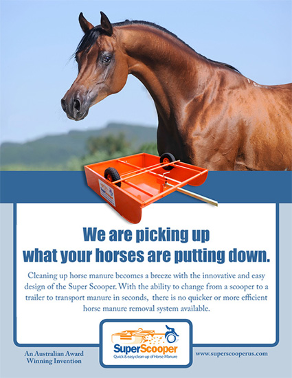 Super Scooper Horse Manure Removal System
