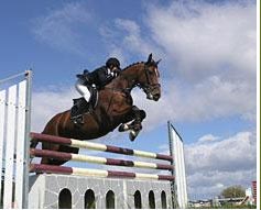 Saddle Pad for Jumping