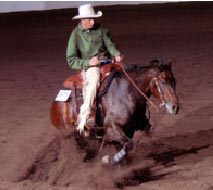 Western Saddle Pad