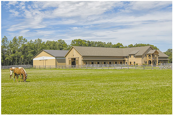 Horse Pasture Planning and Design