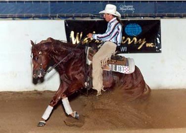 Evaluating horse vocabulary