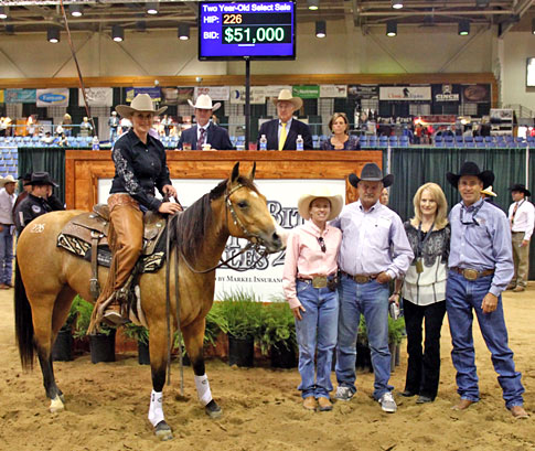 Understanding Horse Auctions
