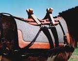 wool saddle pads do not trap heat.