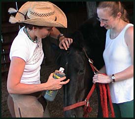 Plan the horse facility operations before you build.