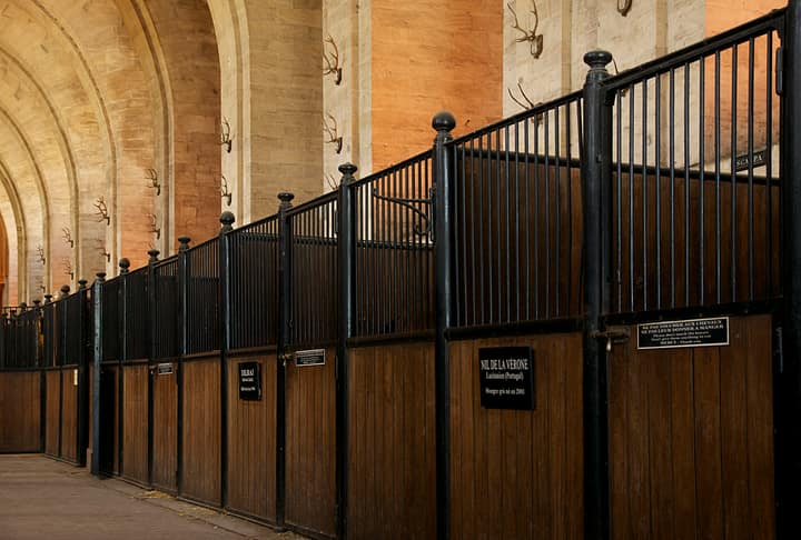 A wide stable aisle lined with box stalls beneath a high ceiling, with horses looking out over their stall doors