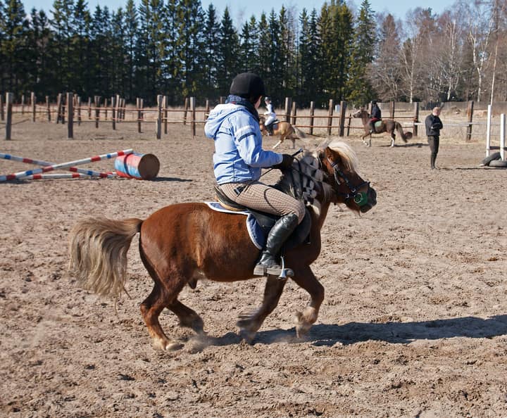 Young rider canters a braided riding-school pony during a group lesson in the outdoor schooling arena