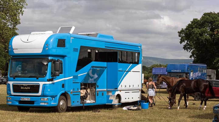 Plaited event horses stand ready beside a blue MAN horsebox at Cumbrian Horse Trials, tack locker open