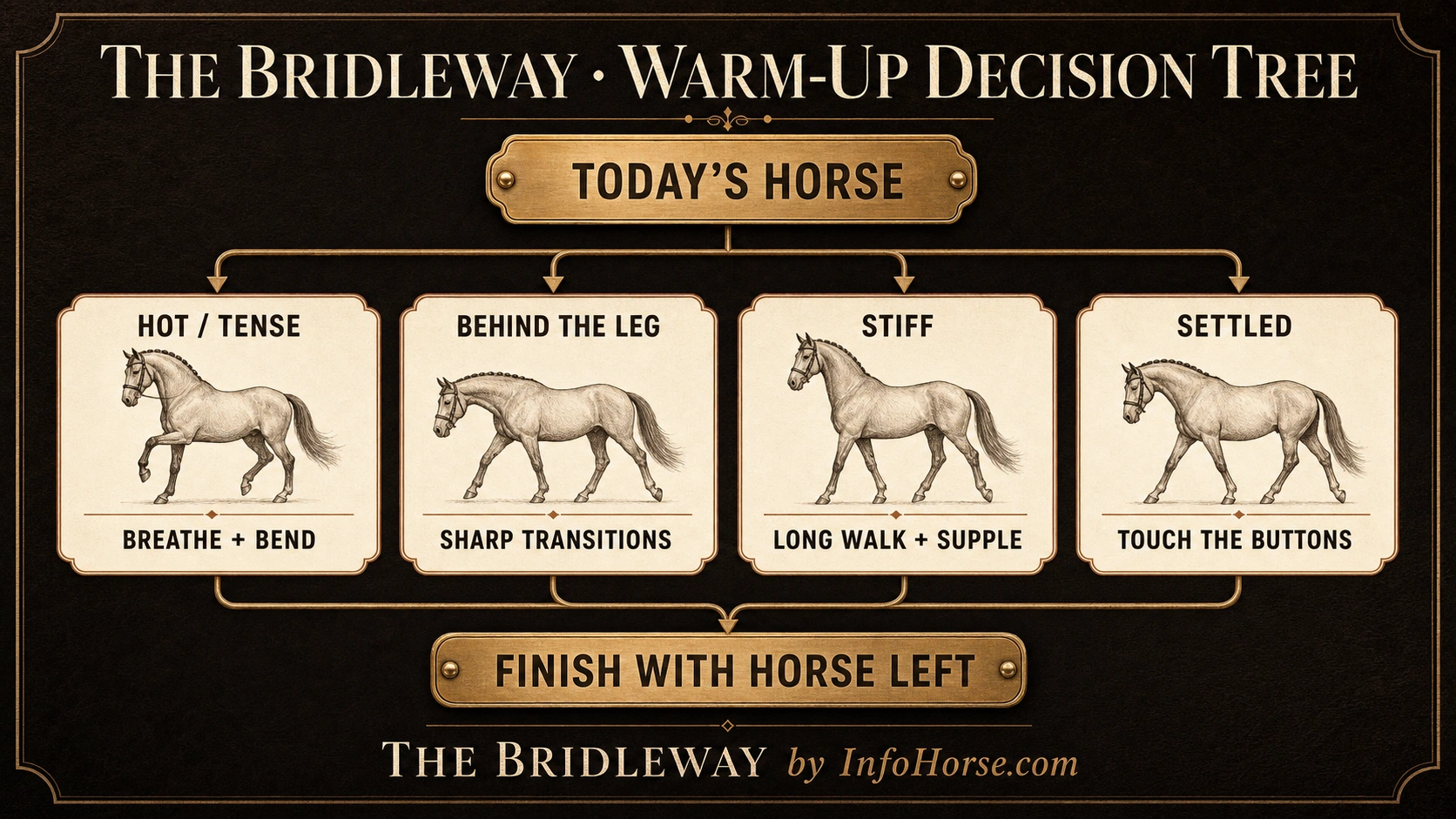 Bridleway dressage warm-up decision tree for a hot, behind-the-leg, stiff, or settled horse