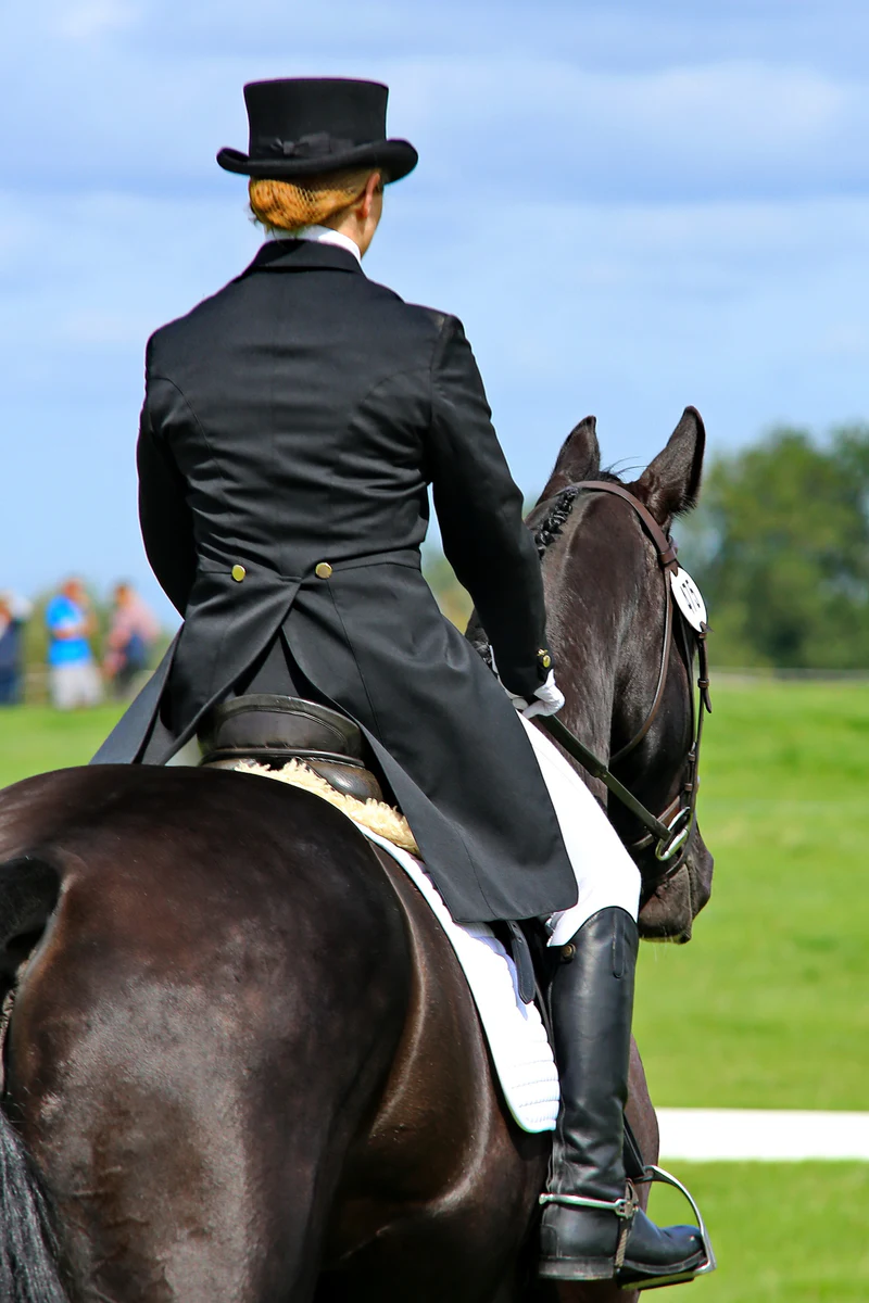 Dressage rider on a dark horse riding away in a grass competition arena at Firle Place
