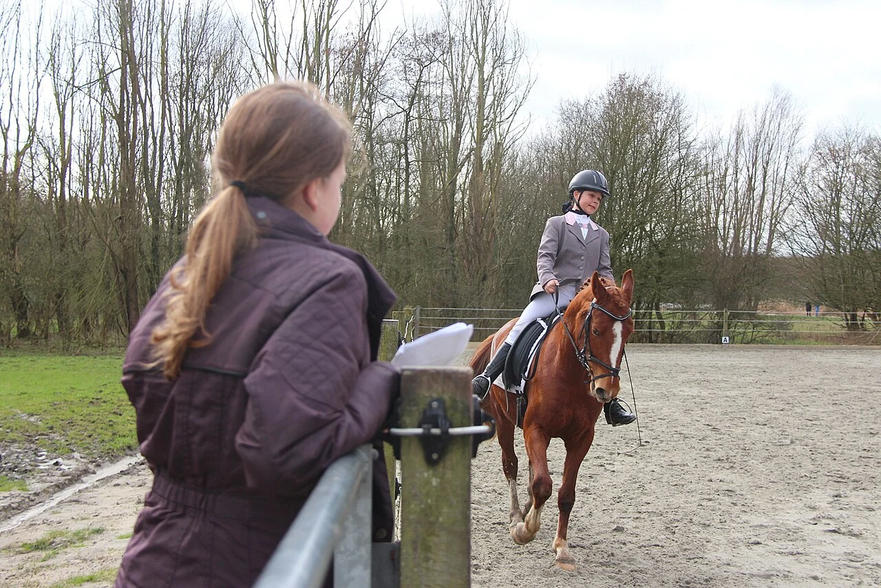 Dressage judge watching a horse and rider approach in an outdoor competition arena