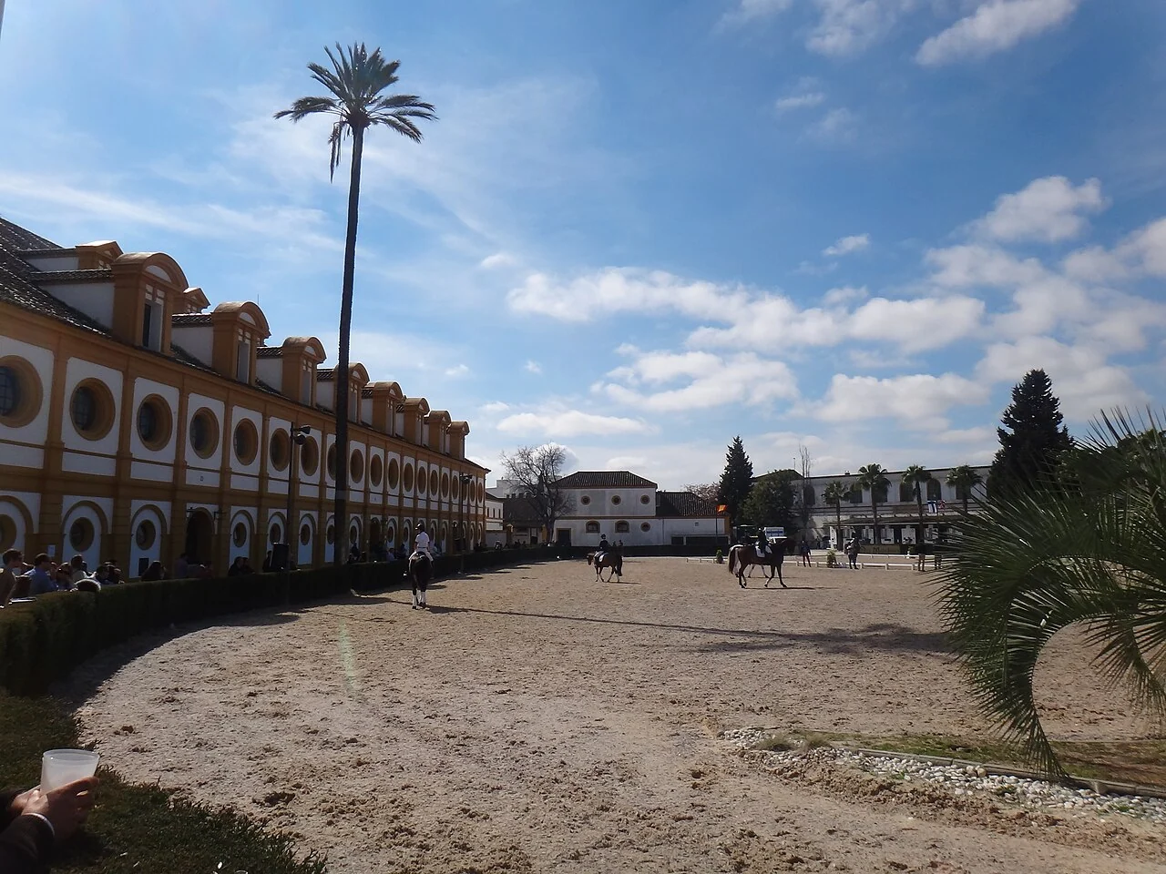 Several dressage riders schooling at the Royal Andalusian School in a large outdoor arena