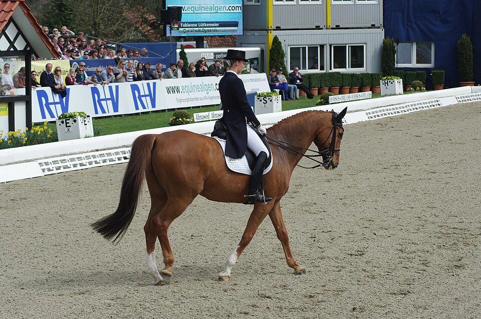 Grand Prix dressage horse and rider performing in a white-railed international arena