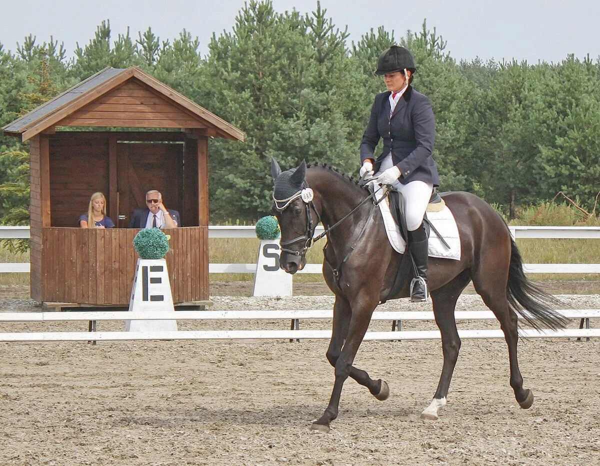 Dressage rider passing an arena marker with a judge booth visible beyond the rail in Kwieki