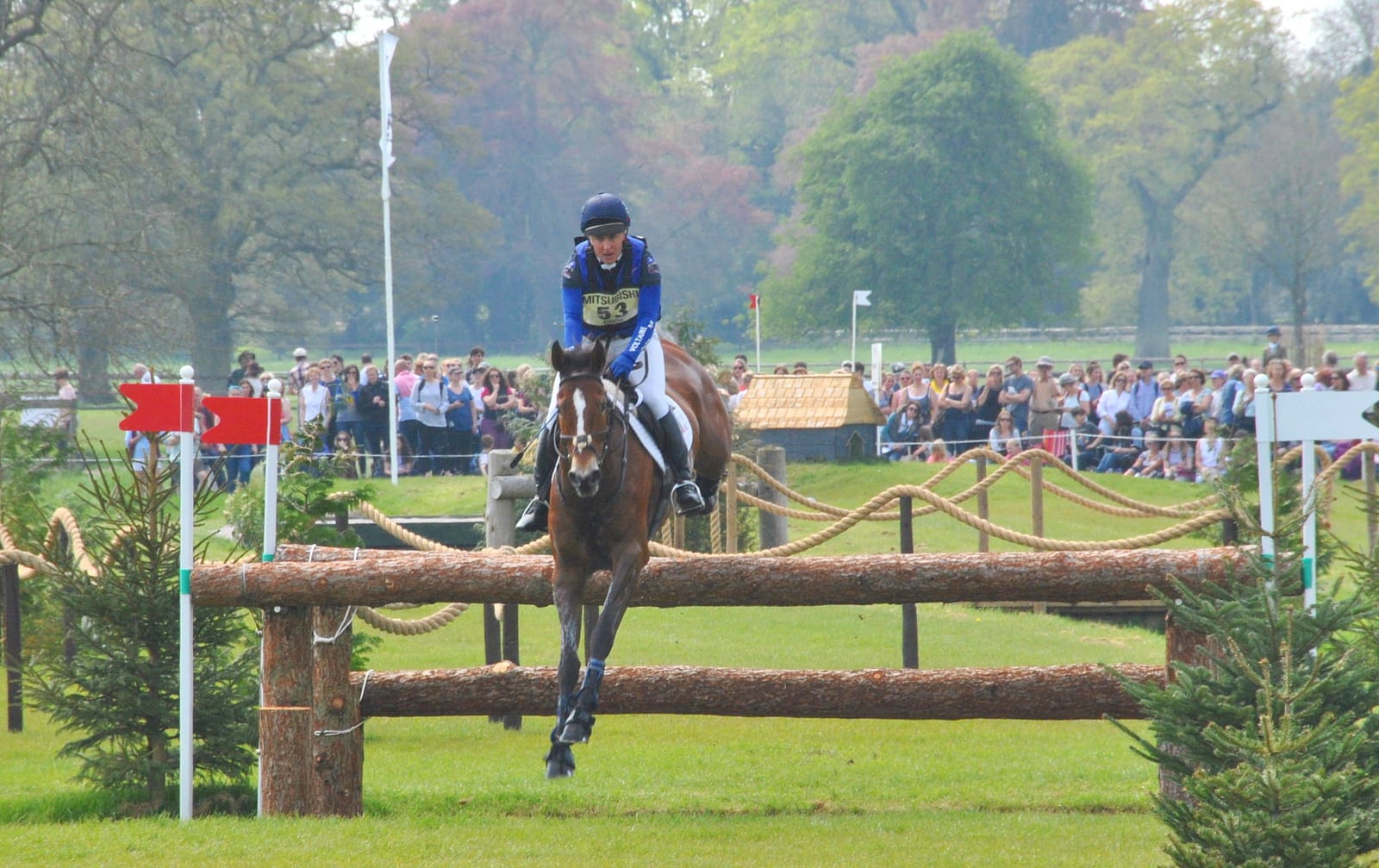 Horse and rider jumping a solid log-and-rope cross-country fence at Badminton Horse Trials, spectators lining the ropes behind