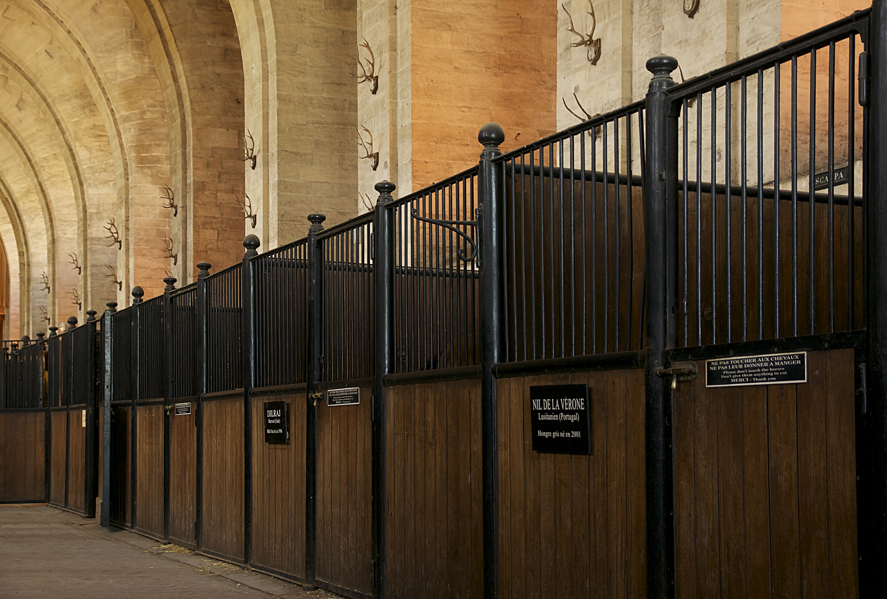 A wide stable aisle lined with box stalls beneath a high ceiling, with horses looking out over their stall doors