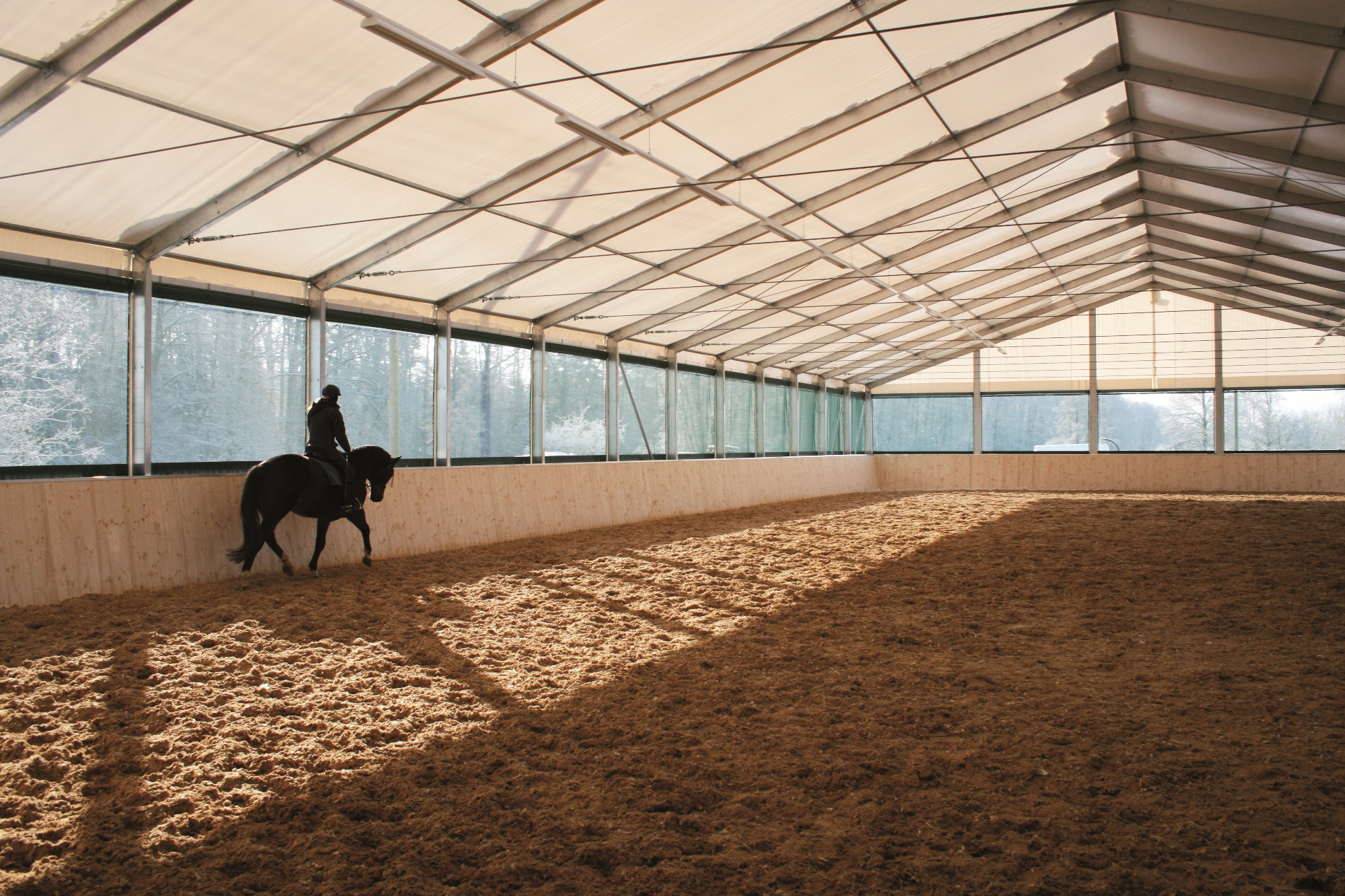 Horse and rider school along the rail of a light-filled indoor arena over freshly worked fibre-and-sand footing