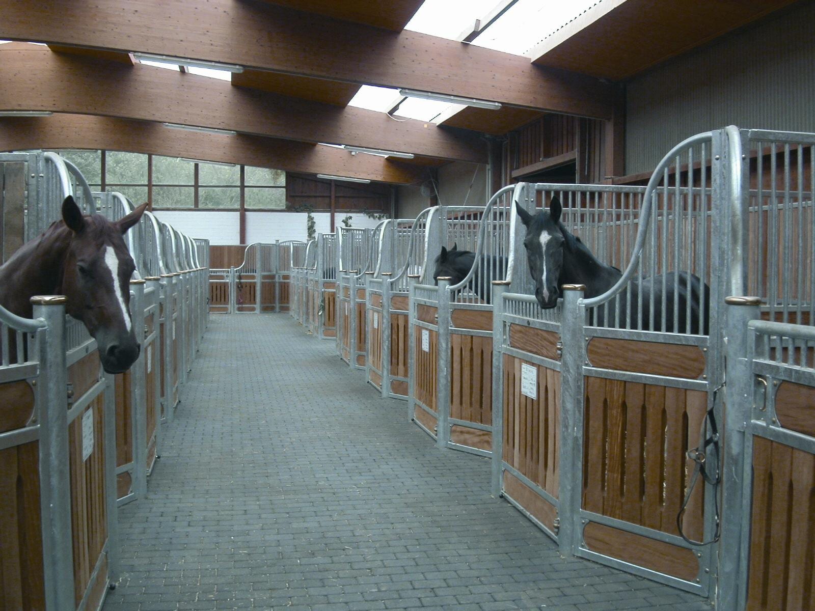 Row of modern galvanised loose boxes along a clean stable aisle, horses looking out over the grilles