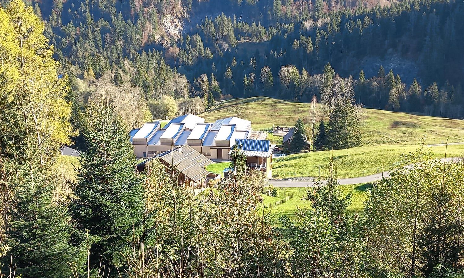 European equestrian facility with stables and riding space