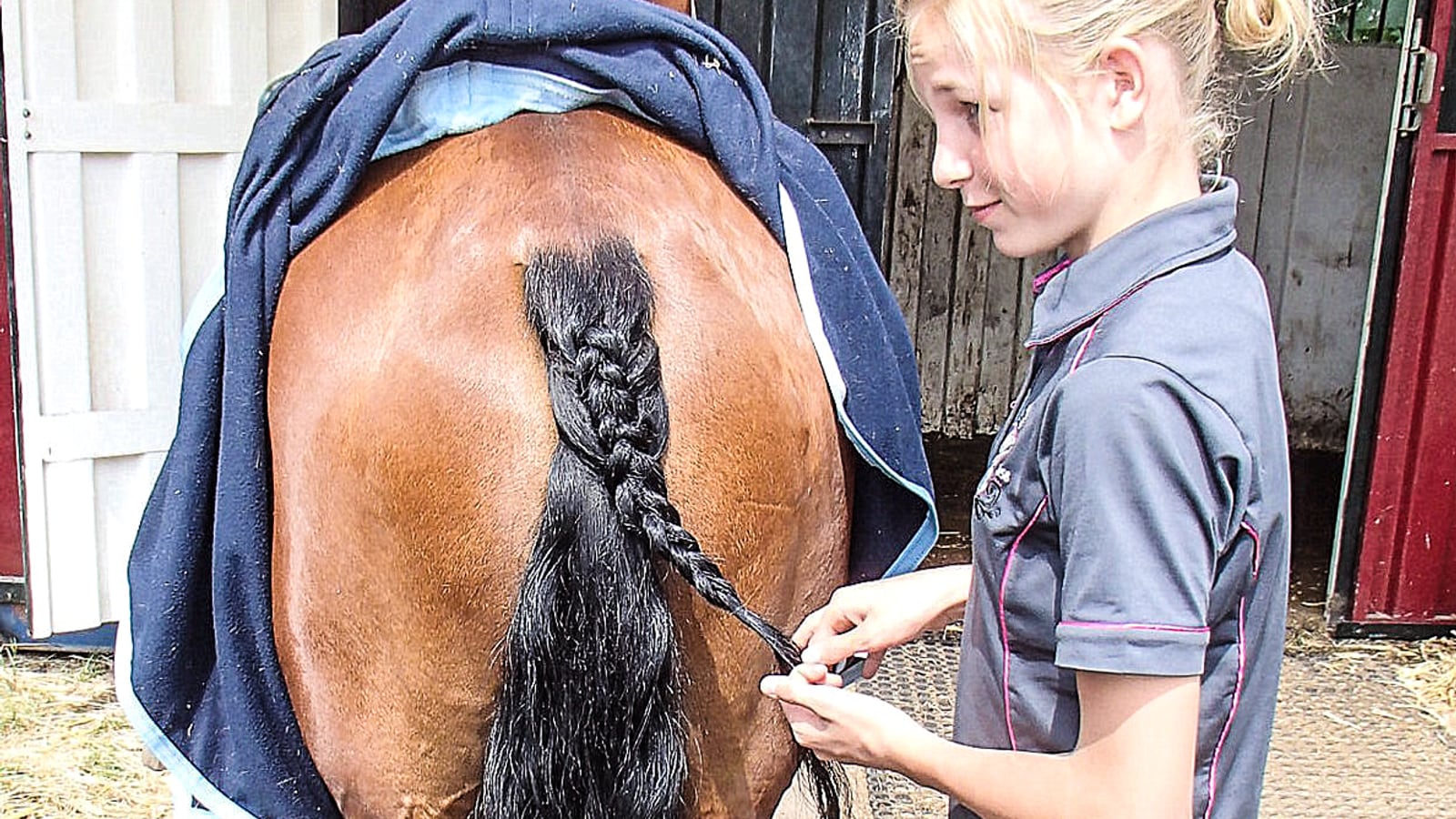 Young rider braiding a horse tail during show preparation