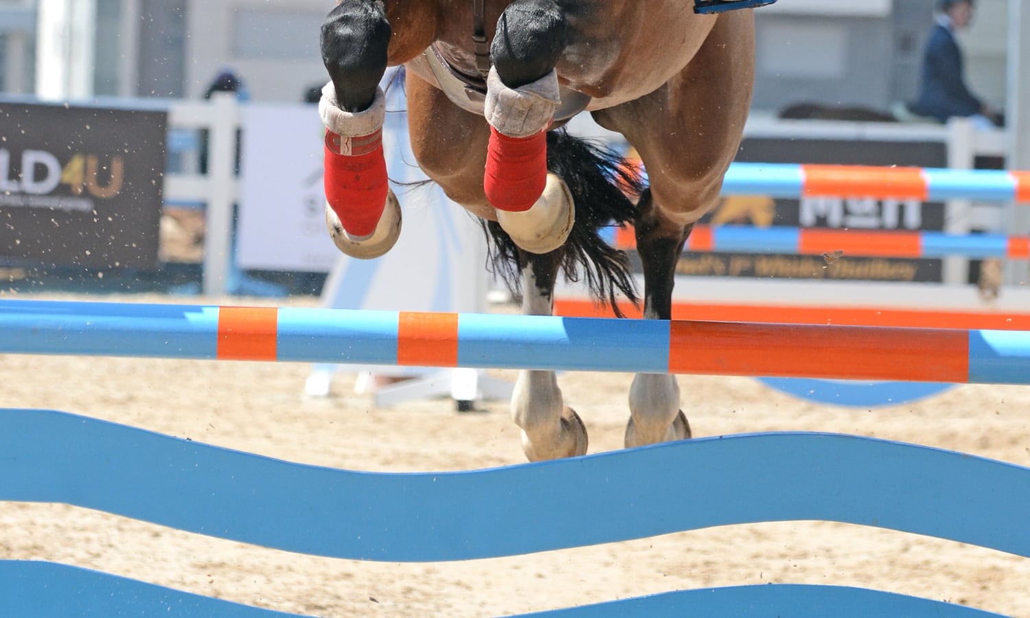A rider clears a show-jumping fence in the jumper ring, where the round is scored on rails down and the clock