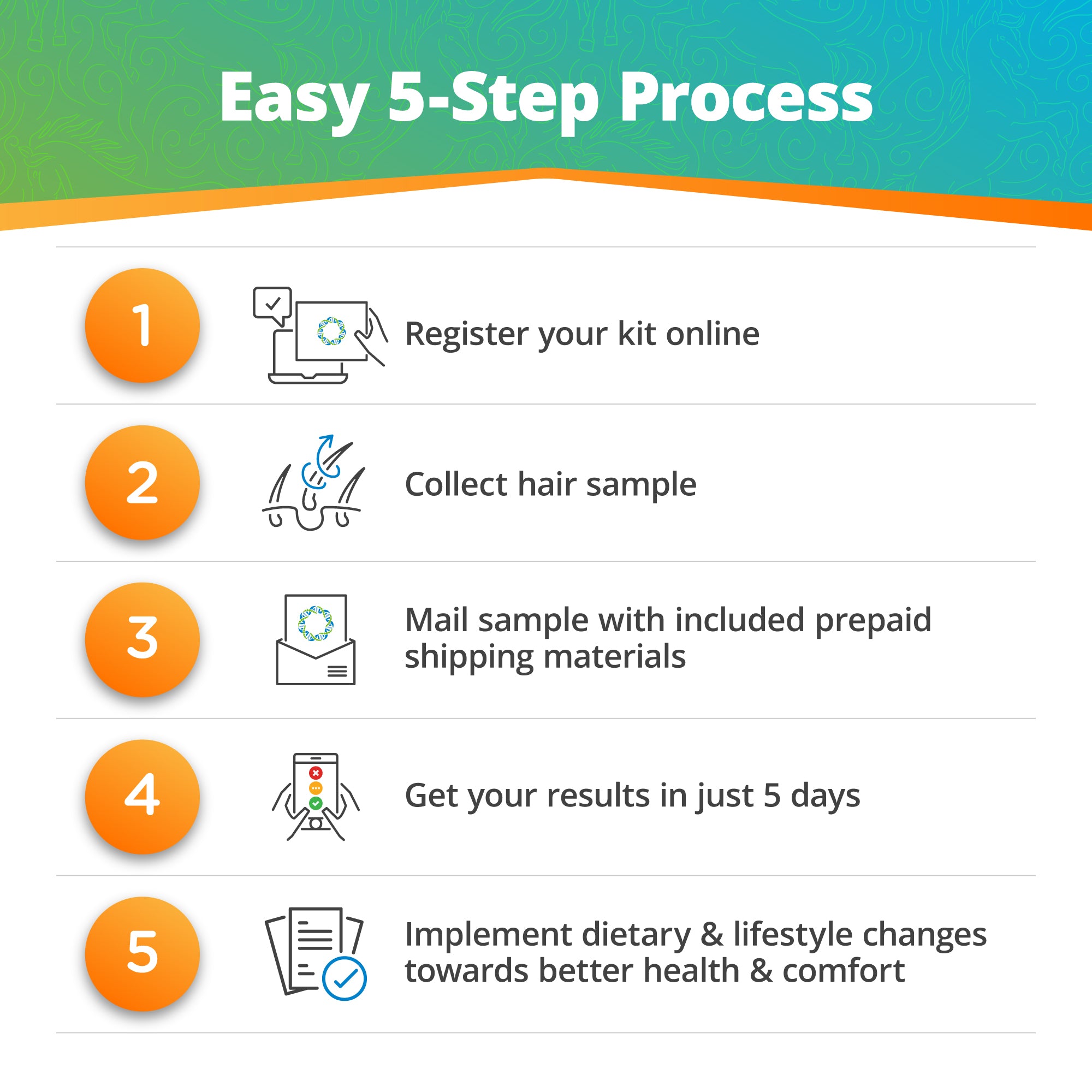 5Strands equine test hair collection instructions
