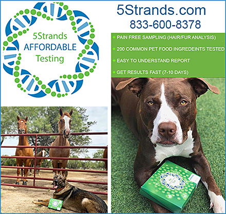 5 Strands Affordable Testing
