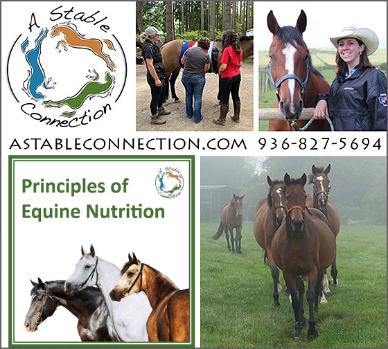 Principles of Equine Nutrition — Barn Accessories (by A Stable Connection is a one of a kind, comprehensive, one day)