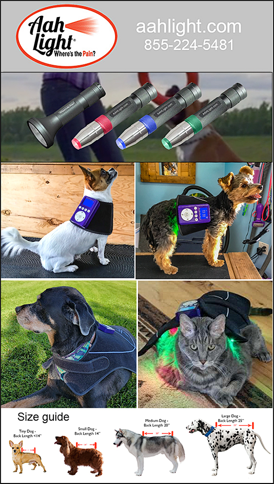 Visium Light Flex For Dogs by AAH Light — Dogs And Puppies (Don't settle for just red and NIR, when you can have those PLUS blue and green…)