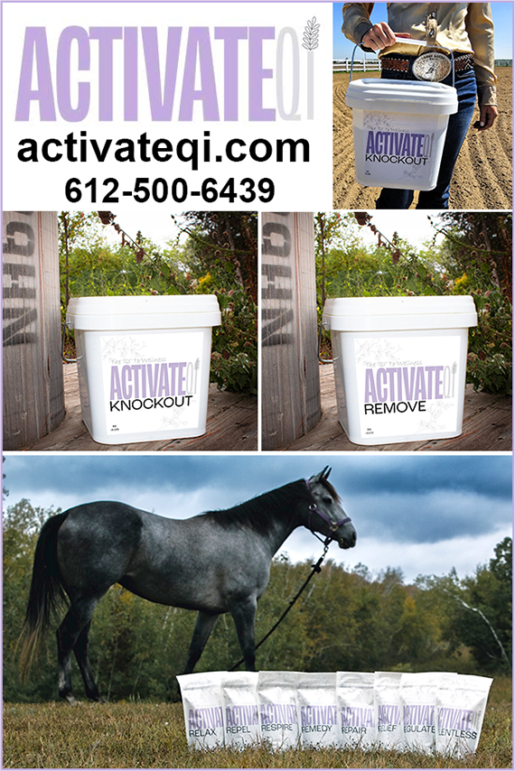 KNOCKOUT™ by ActivateQi — Health (Brittany Jacobsen and Rachel Schaefer, owners of ACTIVATEQI have paired their…)