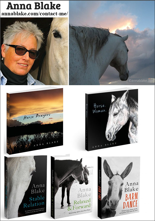 "Relaxed and Forward", "Going Steady" and books by Anna Blake Anna Blake