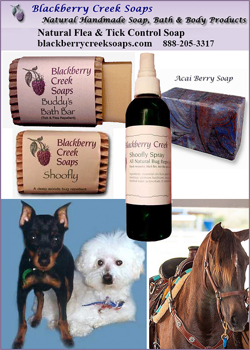 Blackberry Creek's Soaps