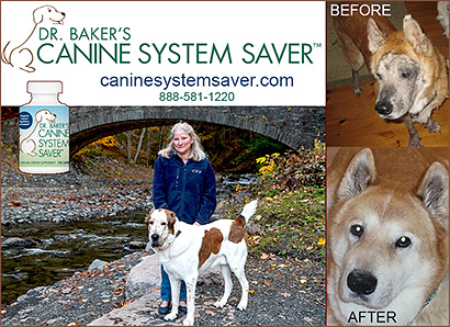Dr. Baker's Canine System Saver
